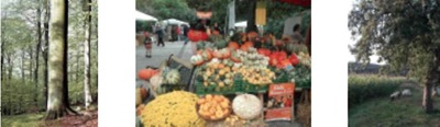 Климатический компас